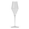 Champagne Glasses